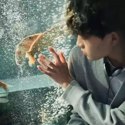 仰映容